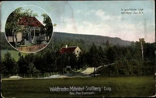 Ak Mitteldorf Stollberg im Erzgebirge, Waldfrieden, Bes. Max Eisenreich, Waldlandschaft