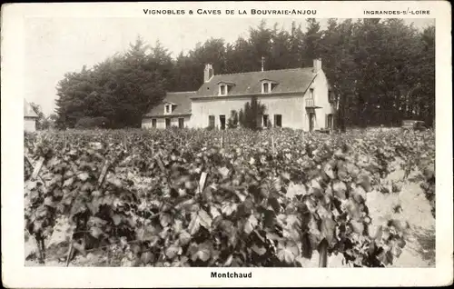 Ak Bouvraie Anjou Maine et Loire, Montchaud, Vignobles et Caves