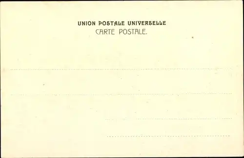 Stereo Ak Thun Kt. Bern Schweiz, Blick auf den Ort