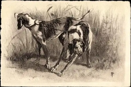 Künstler Ak Zwei zusammengebundene Hunde