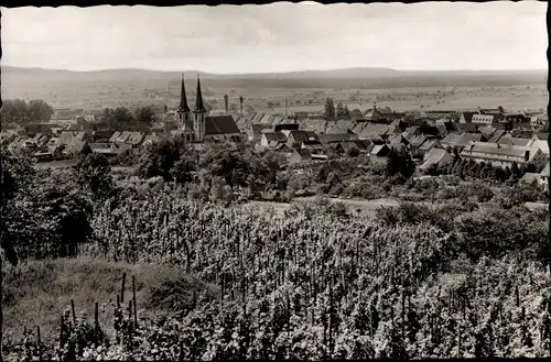 Ak Kenzingen im Breisgau, Panorama, Kirche