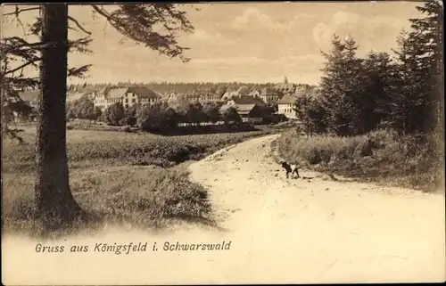 Ak Königsfeld im Schwarzwald, Blick auf Gemeinde