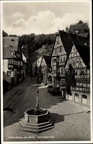 Ak Miltenberg am Main in Unterfranken, Schnatterloch