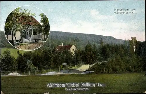 Ak Mitteldorf Stollberg im Erzgebirge, Waldfrieden, Bes. Max Eisenreich, Waldlandschaft