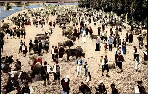 Ak Bosnien-Herzegowina, Viehmarkt in Bosnien, Rinder, Händler