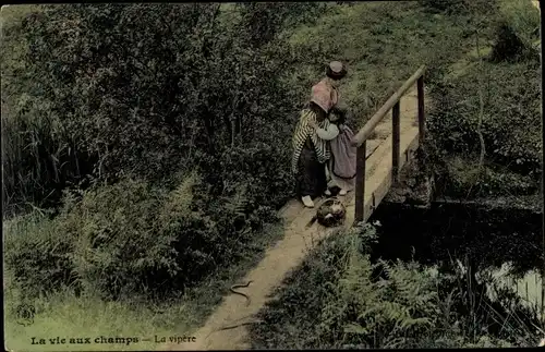 Ak La vie aux champs, la vipere