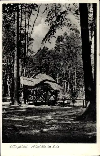 Ak Hamburg Wandsbek Wellingsbüttel, Schutzhütte im Wald