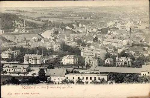 Ak Roßwein in Sachsen, Blick vom Hartenberg