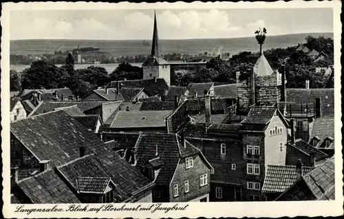 Ak Bad Langensalza in Thüringen, Storchennest, Jungbrut