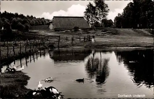 Ak Undeloh in der Lüneburger Heide, Dorfteich