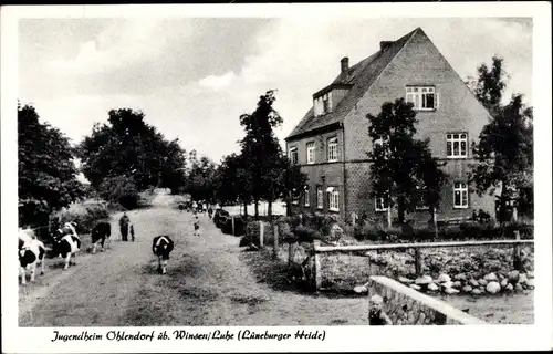 Ak Ohlendorf Seevetal Niedersachsen, Jugendheim, Viehtrieb