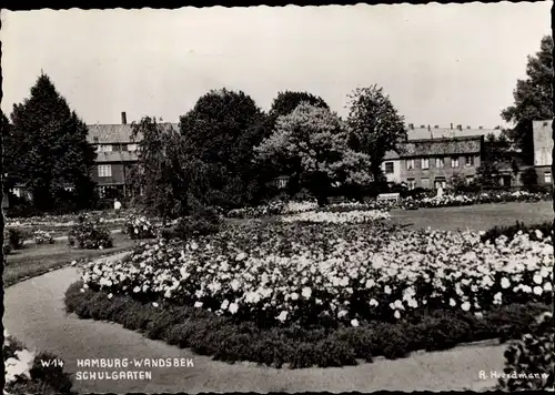 Ak Hamburg Wandsbek, Schulgarten