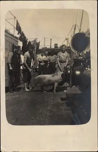 Foto Ak Seeleute mit Schwein an Deck eines Schiffes