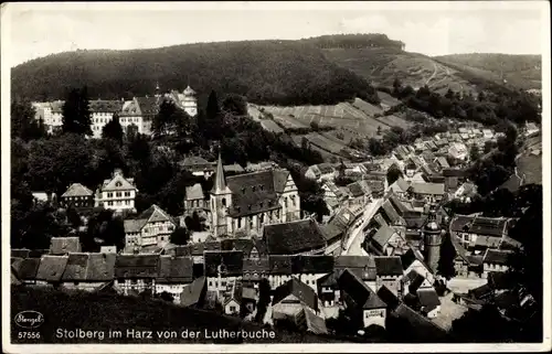 Ak Stolberg Südharz, Blick von der Lutherbuche