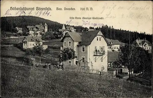 Ak Bärenfels Altenberg im Erzgebirge, Villa Marie, Blick auf den Ort