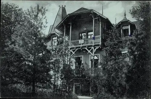 Ak Bärenfels Altenberg im Erzgebirge, Pension Villa Hubertus