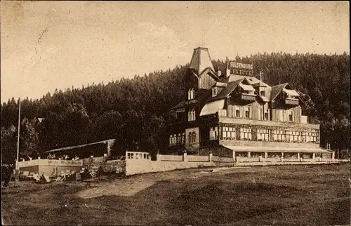 Ak Bärenfels Altenberg im Erzgebirge, Hotel und Pension Felsenburg