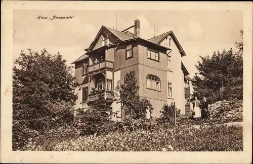 Ak Bärenfels Altenberg im Erzgebirge, Fremdenheim Haus Annemarie