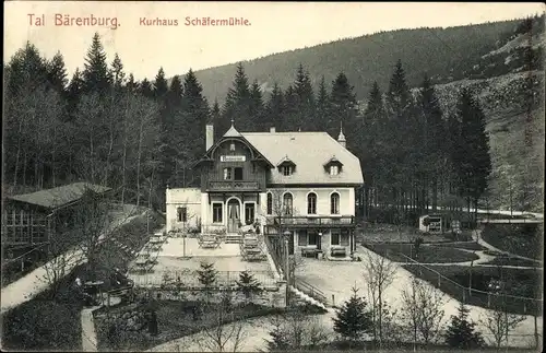 Ak Talbärenburg Bärenburg Altenberg im Erzgebirge, Kurhaus Schäfermühle