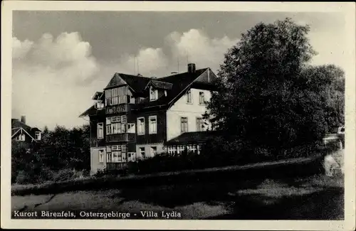 Ak Bärenfels Altenberg im Erzgebirge, Villa Lydia