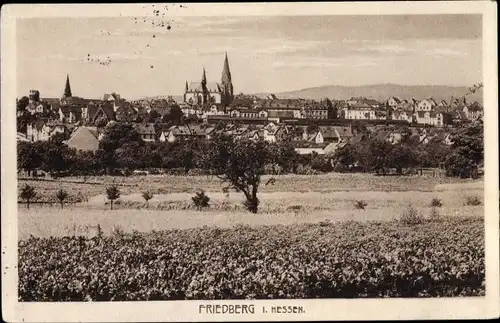 Ak Friedberg in Hessen, Totale