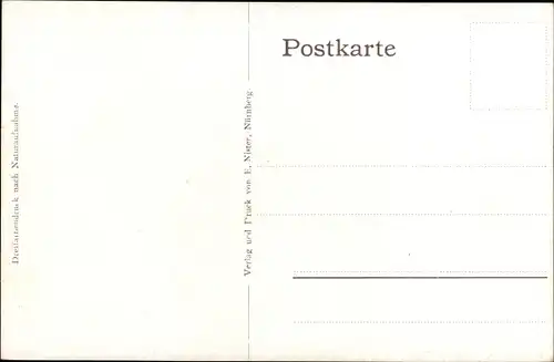 Ak Streitberg Wiesenttal Fränkische Schweiz, Partie zum Ort