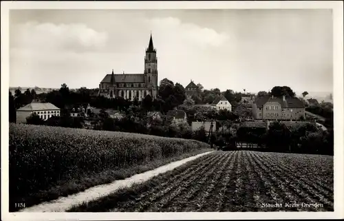 Ak Staucha Stauchitz Sachsen, Blick auf den Ort