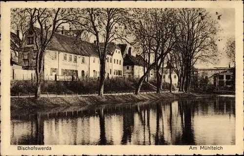 Ak Bischofswerda in Sachsen, Partie am Mühlteich