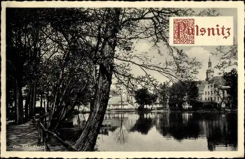 Ak Pulsnitz Sachsen, Partie am Schlossteich