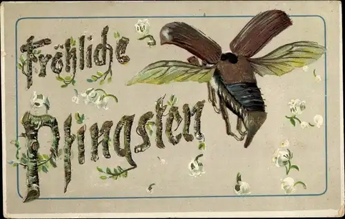 Präge Ak Glückwunsch Pfingsten, Maikäfer