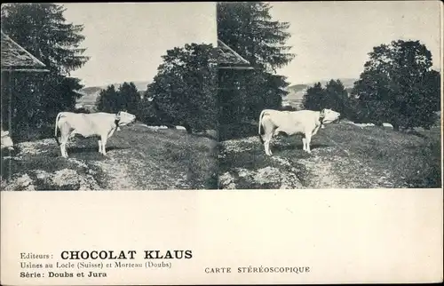 Stereo Ak Chocolat Klaus, Usines au Locle Kanton Jura et Morteau Doubs, Kuh