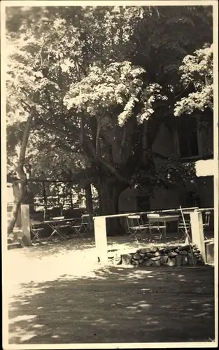 Ak Buchholz Friedewald Moritzburg in Sachsen, Gasthof und Kulturhaus Buchholz, Terrasse
