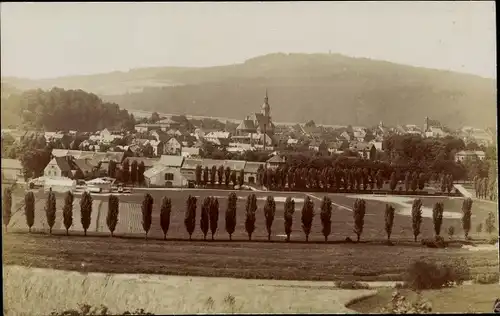 Foto Ak Rochlitz an der Mulde, Ort mit Rochlitzer Berg