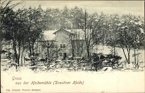 Ak Dresden Loschwitz, Dresdner Heide, Haidemühle