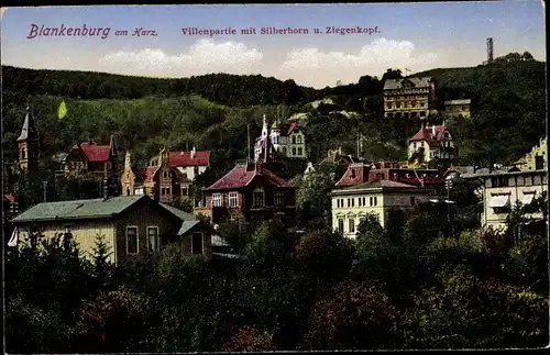 Ak Blankenburg am Harz, Villenpartie, Silberborn, Ziegenkopf