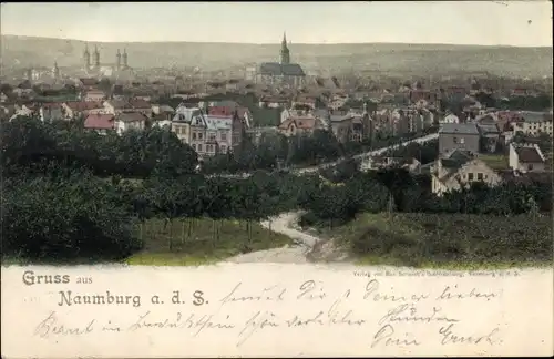 Ak Naumburg an der Saale, Blick auf die Stadt
