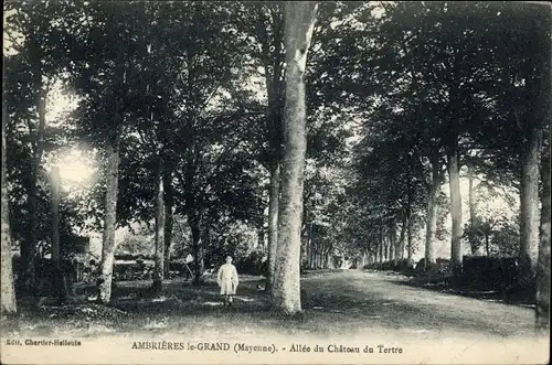 Ak Ambrières le Grand Mayenne, Allee du Chateau du Tertre