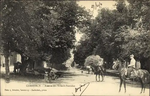 Ak Commercy Meuse, Avenue des Tilleuls Stanislas