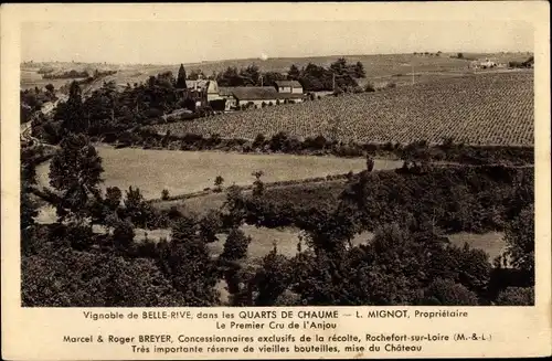 Ak Rochefort sur Loire Maine et Loire, Chaume, Vignoble de Belle Rive, Grand Cru d'Anjou