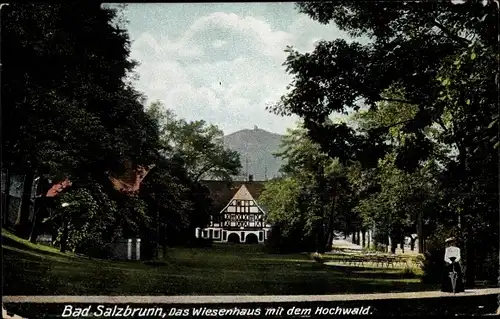 Ak Szczawno Zdrój Bad Salzbrunn Niederschlesien, Das Wiesenhaus mit dem Hochwald