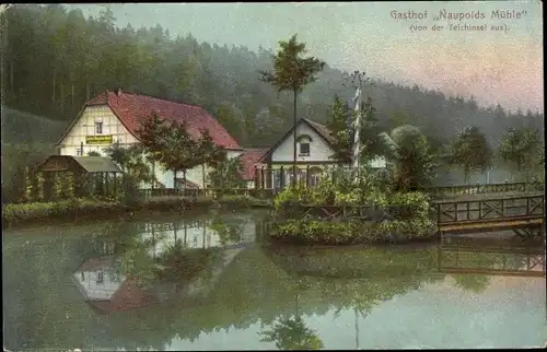 Ak Eisenberg in Thüringen, Gasthof Naupolds Mühle von der Teichinsel aus