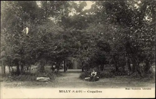 Ak Milly la Forêt Essonne, Coquibre