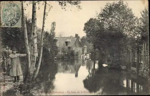 Ak Mézidon Calvados, Un Coin de la Dives