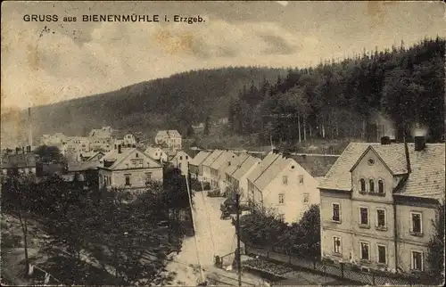 Ak Rechenberg Bienenmühle Erzgebirge, Blick auf den Ort