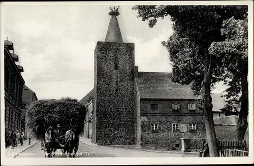 Ak Altlandsberg in Brandenburg, Partie am Strausberger Tor, Storchennest, Heukarren