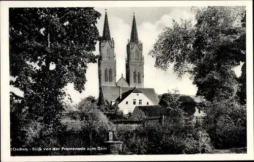 Ak Oschatz in Sachsen, Blick von der Promenade zum Dom