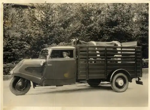 Foto Fahrzeug Firma Vidal Harburg, Sonderanfertigung Viehtransportwagen