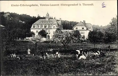 Ak Hartha Hintergersdorf Tharandt im Erzgebirge, Kindererholungsheim, Vereinslazarett, Kühe