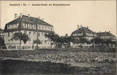 Ak Arnsdorf im Kreis Bautzen, Anstalts Straße mit Beamtenhäusern