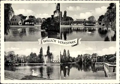 Ak Willich am Niederrhein, Volkspark, Seepartie, Schwan